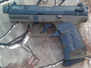 P22grips.jpg